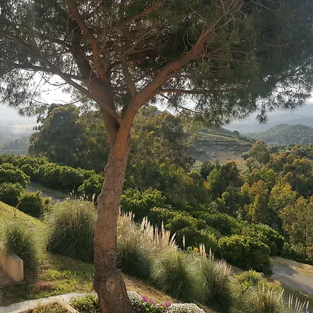 Hotell U Nebbiu Olmeta-di-Tuda